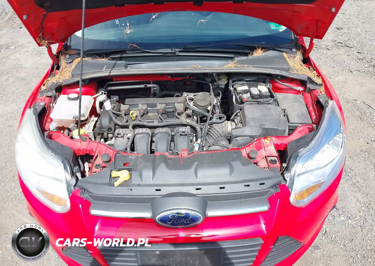 2014 Ford Focus Se VIN:1FADP3K26EL227959 - 10