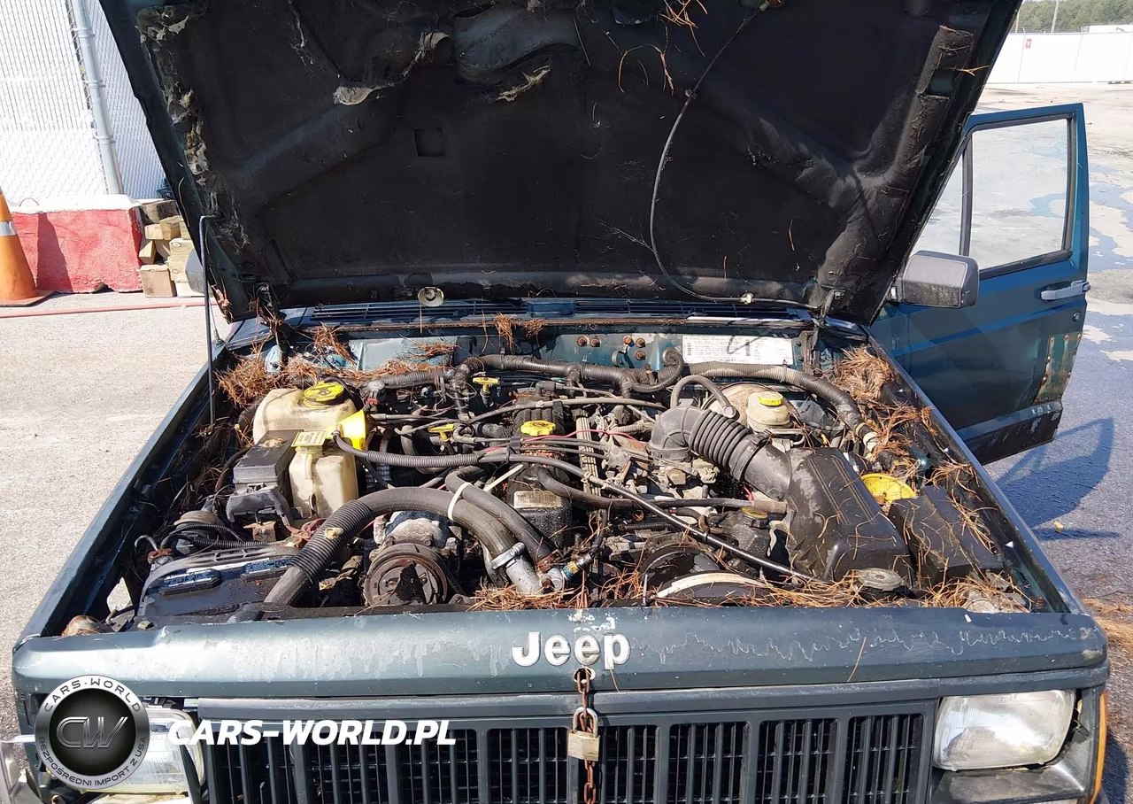 1996 Jeep Cherokee Sport-Classic VIN:1J4FJ68S9TL276724 - 10