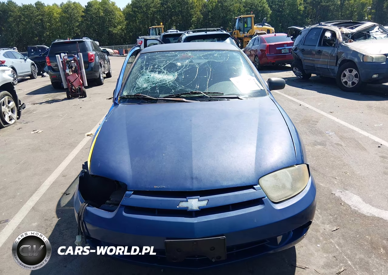 2004 Chevrolet Cavalier VIN:1G1JC12F747316567 - 13