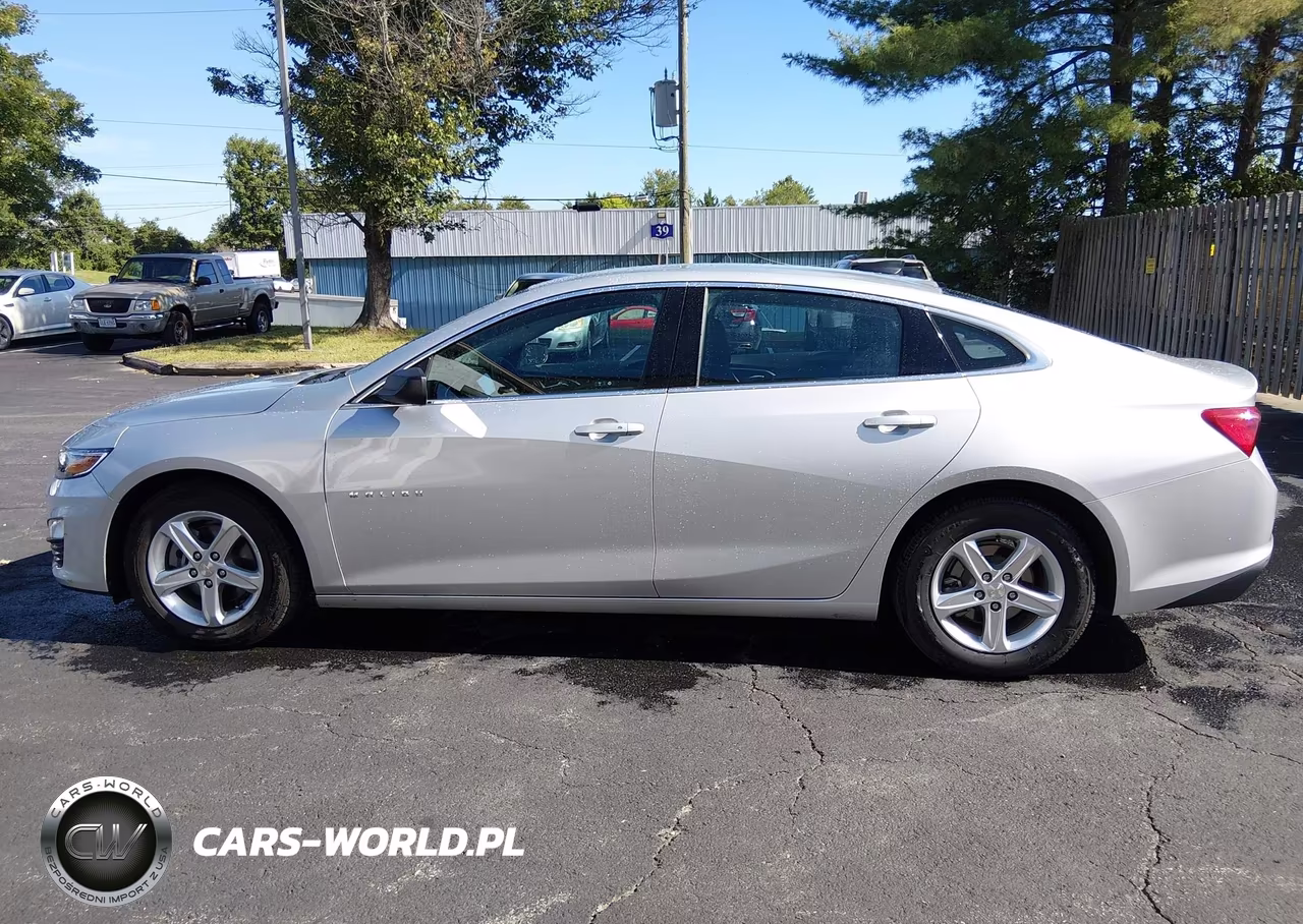 2020 Chevrolet Malibu Fwd 1Fl VIN:1G1ZC5ST1LF150373 - 18