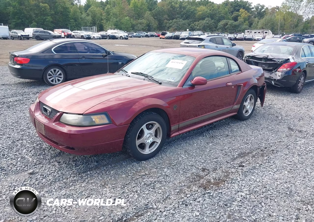 2004 Ford Mustang VIN:1FAFP40464F125674 - 2
