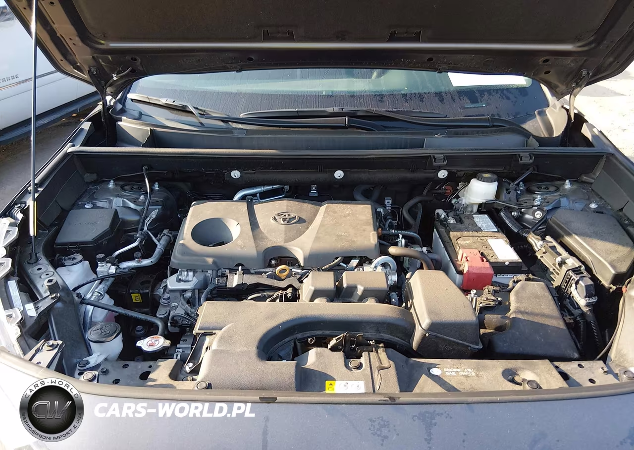 2025 Toyota Rav4 Xle VIN:2T3P1RFV0SW554625 - 10