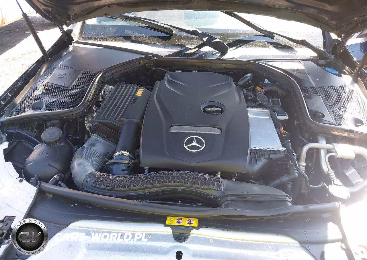 2017 Mercedes-Benz C 300 4Matic VIN:55SWF4KB8HU231450 - 10