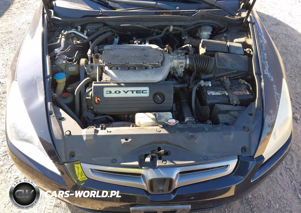 2004 Honda Accord Ex VIN:1HGCM66564A072944 - 10