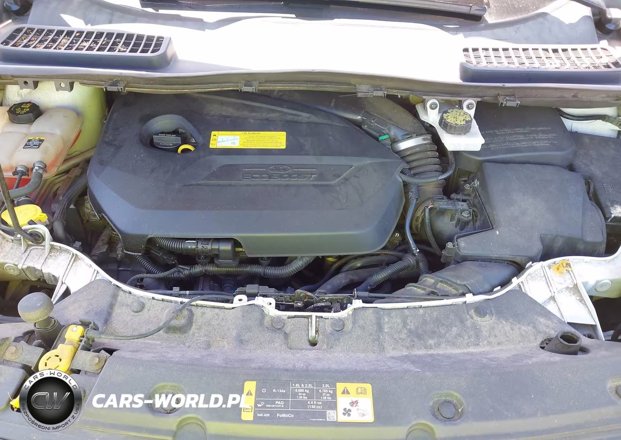 2013 Ford Escape Se VIN:1FMCU9GX4DUC40557 - 10