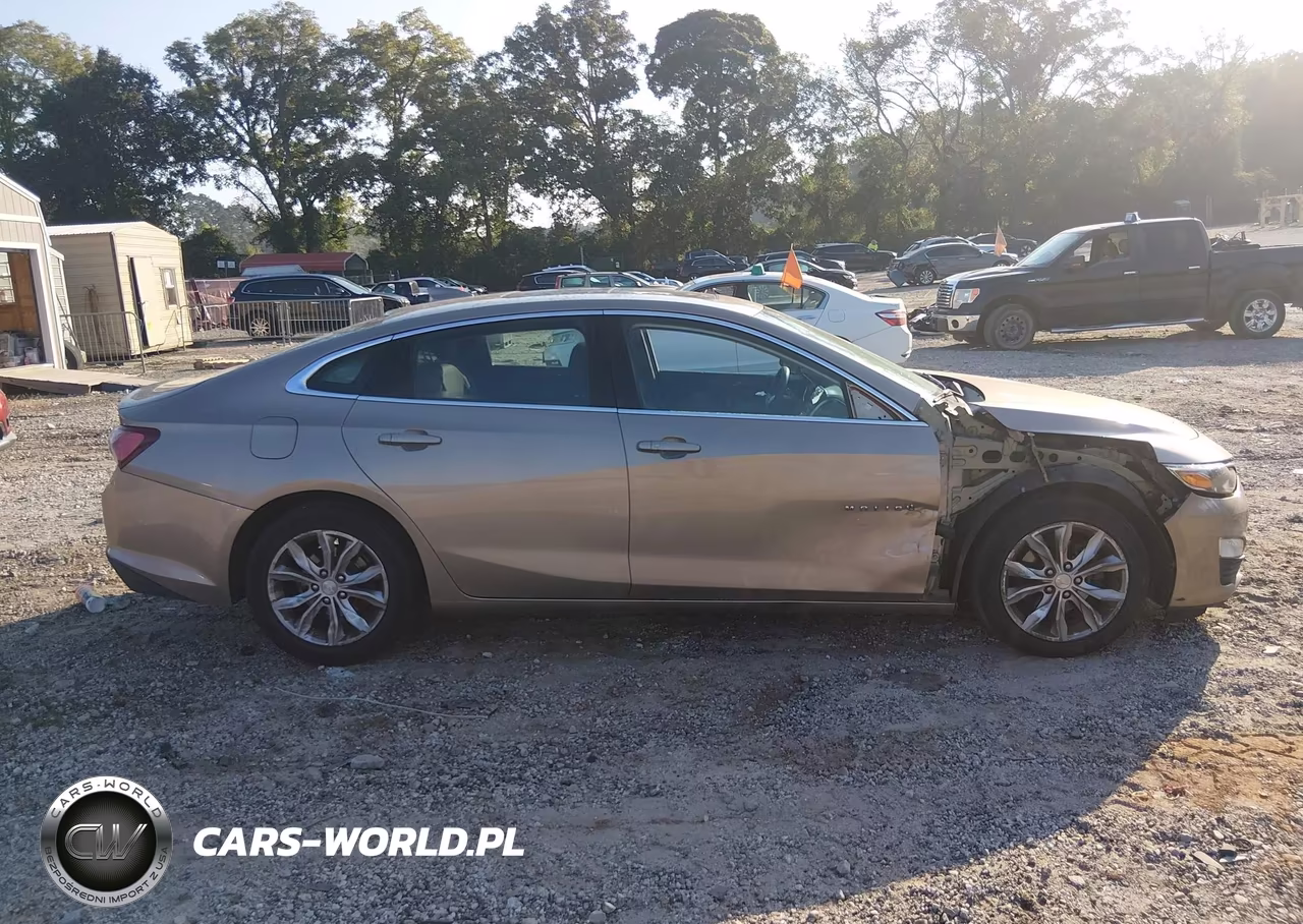 2019 Chevrolet Malibu Lt VIN:1G1ZD5ST6KF141017 - 14