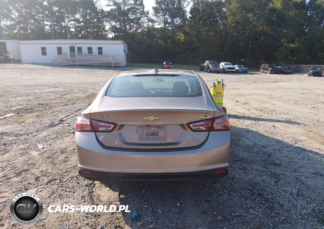2019 Chevrolet Malibu Lt VIN:1G1ZD5ST6KF141017 - 17