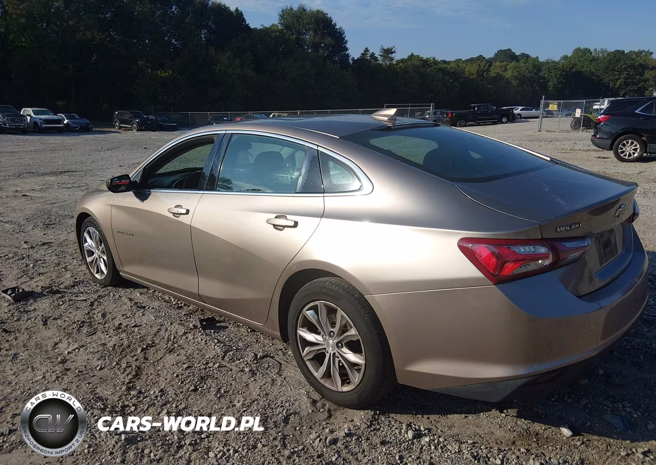 2019 Chevrolet Malibu Lt VIN:1G1ZD5ST6KF141017 - 3