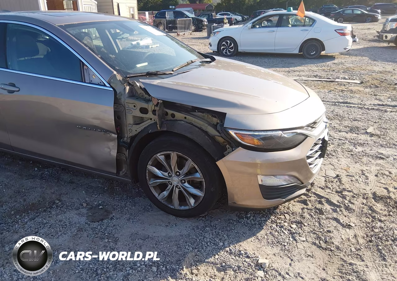 2019 Chevrolet Malibu Lt VIN:1G1ZD5ST6KF141017 - 6