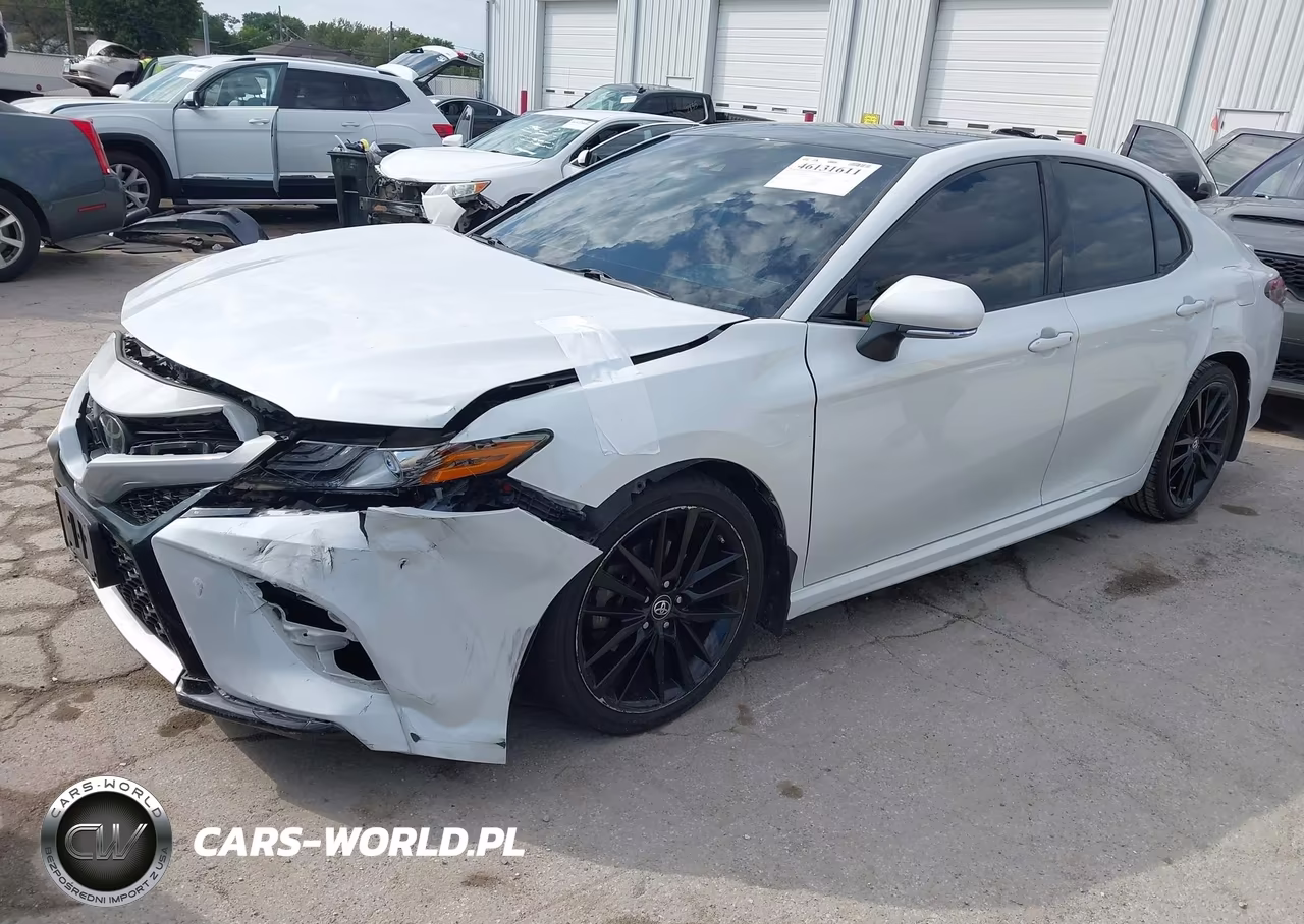 2019 Toyota Camry Xse VIN:4T1B61HK4KU845069 - 2