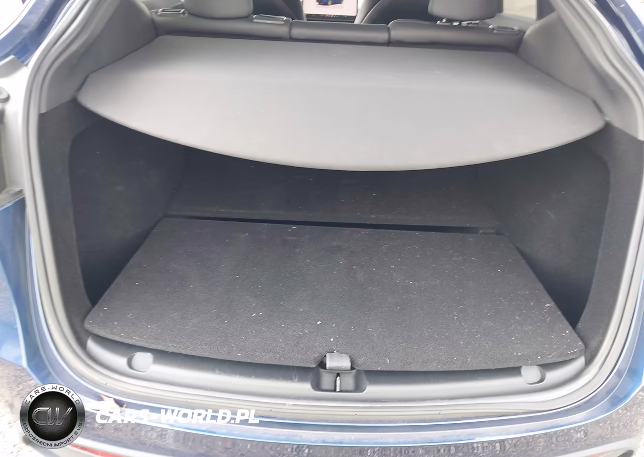 2023 Tesla Model Y Awd-Long Range Dual Motor All-Wheel Drive VIN:7SAYGDEE3PF768869 - 10