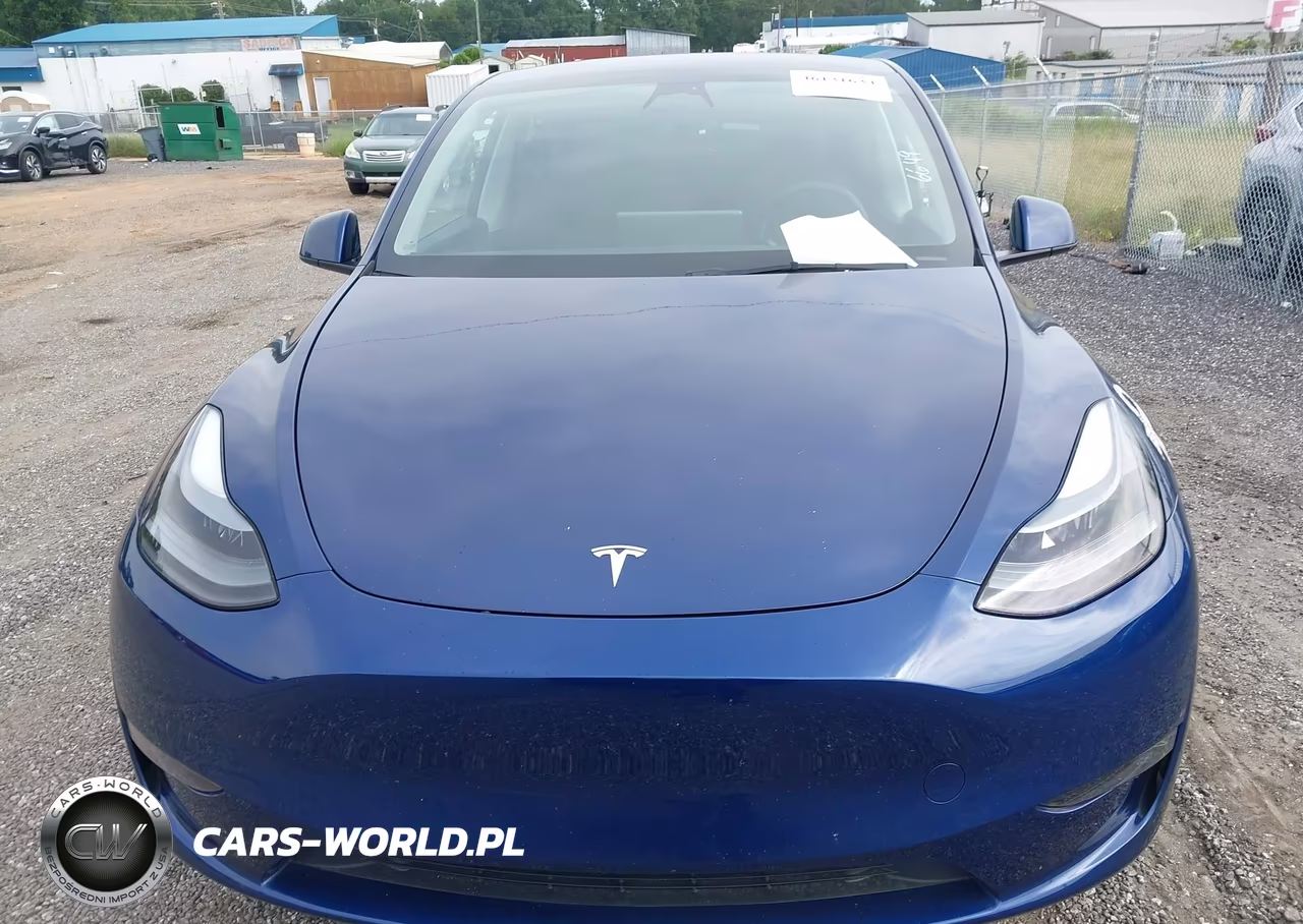 2023 Tesla Model Y Awd-Long Range Dual Motor All-Wheel Drive VIN:7SAYGDEE3PF768869 - 12