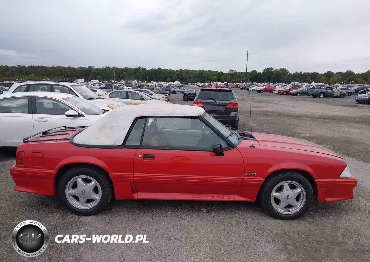 1991 Ford Mustang Gt-Cobra Gt VIN:1FACP45E5MF190200 - 13