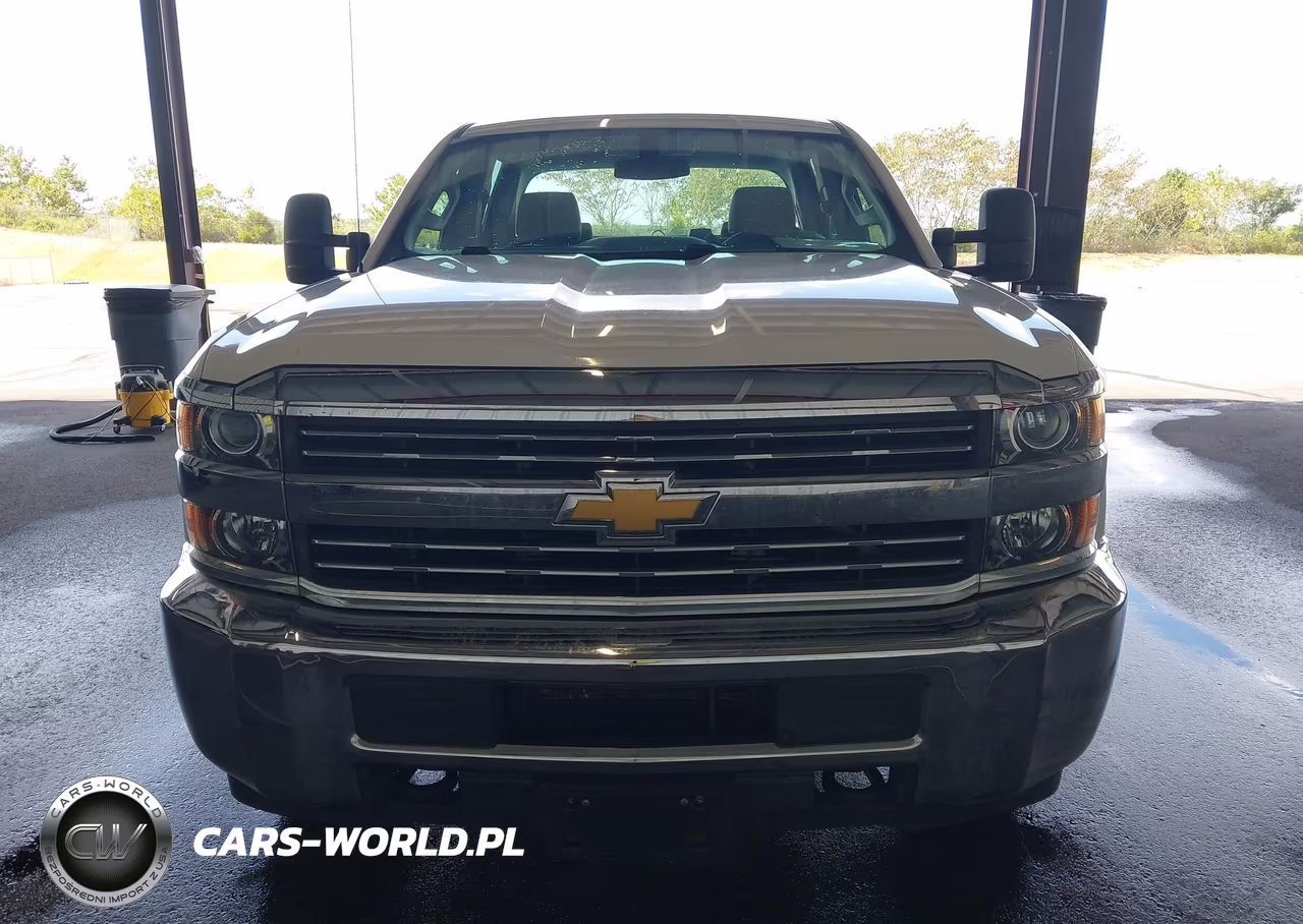 2018 Chevrolet Silverado 3500Hd Wt VIN:1GC4KYCGXJF278289 - 17