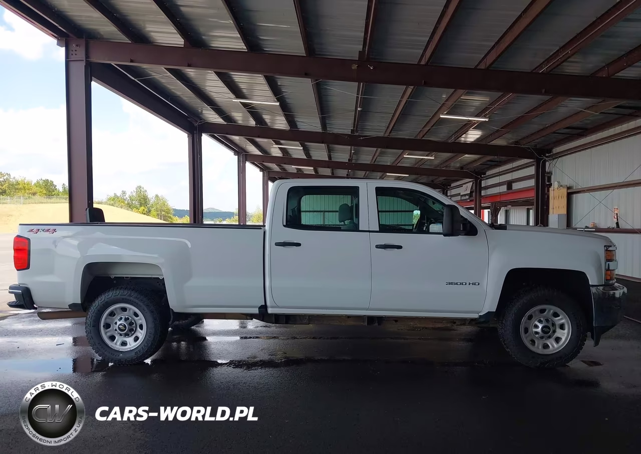 2018 Chevrolet Silverado 3500Hd Wt VIN:1GC4KYCGXJF278289 - 18