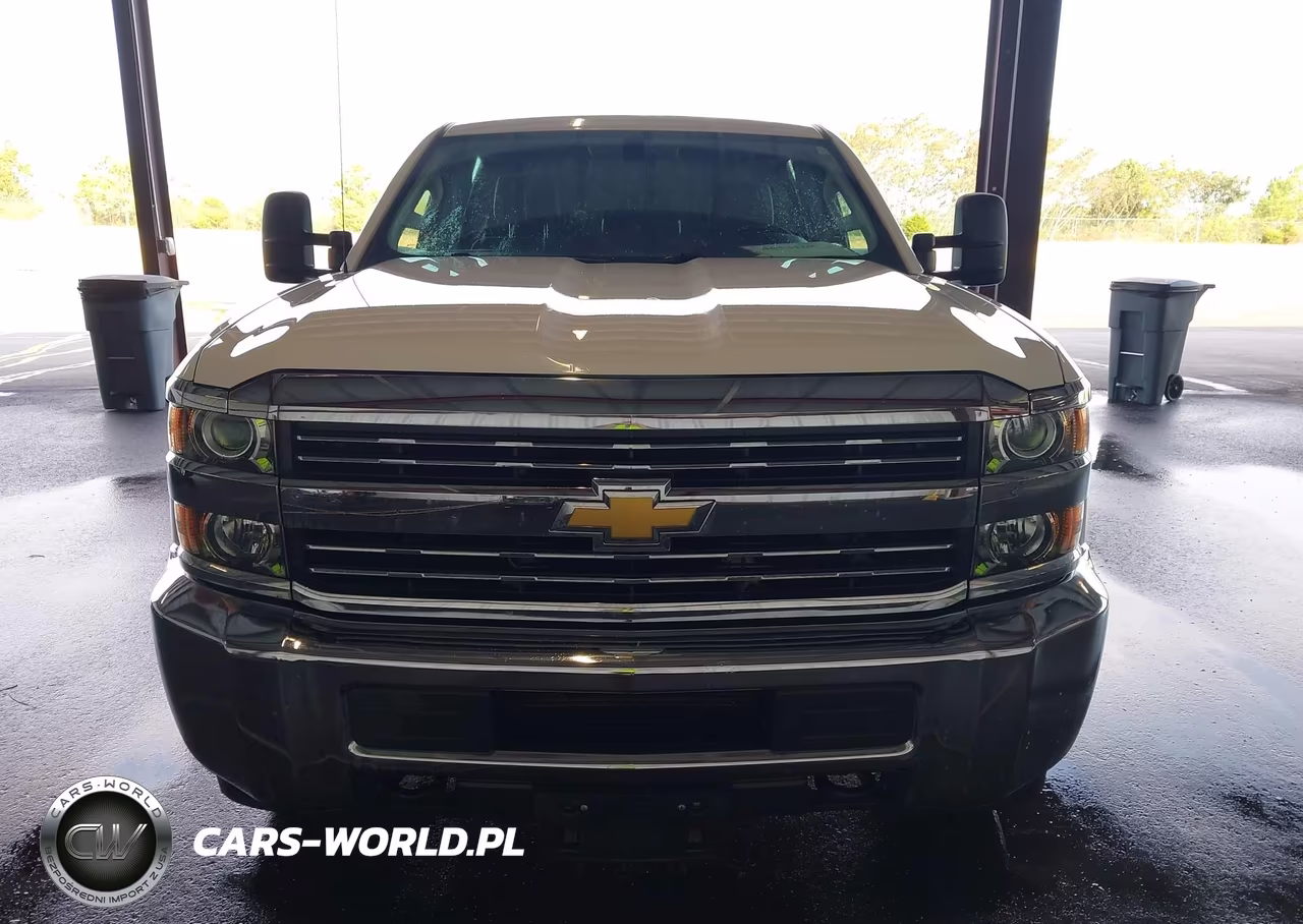 2017 Chevrolet Silverado 3500Hd Wt VIN:1GC4KYCG9HF192062 - 18