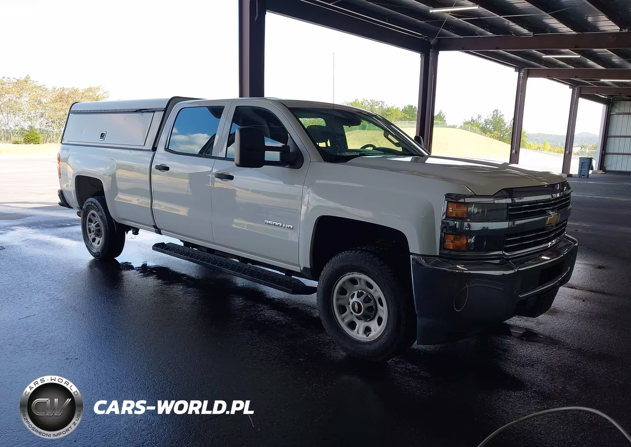2017 Chevrolet Silverado 3500Hd Wt VIN:1GC4KYCG0HF191494 - 1
