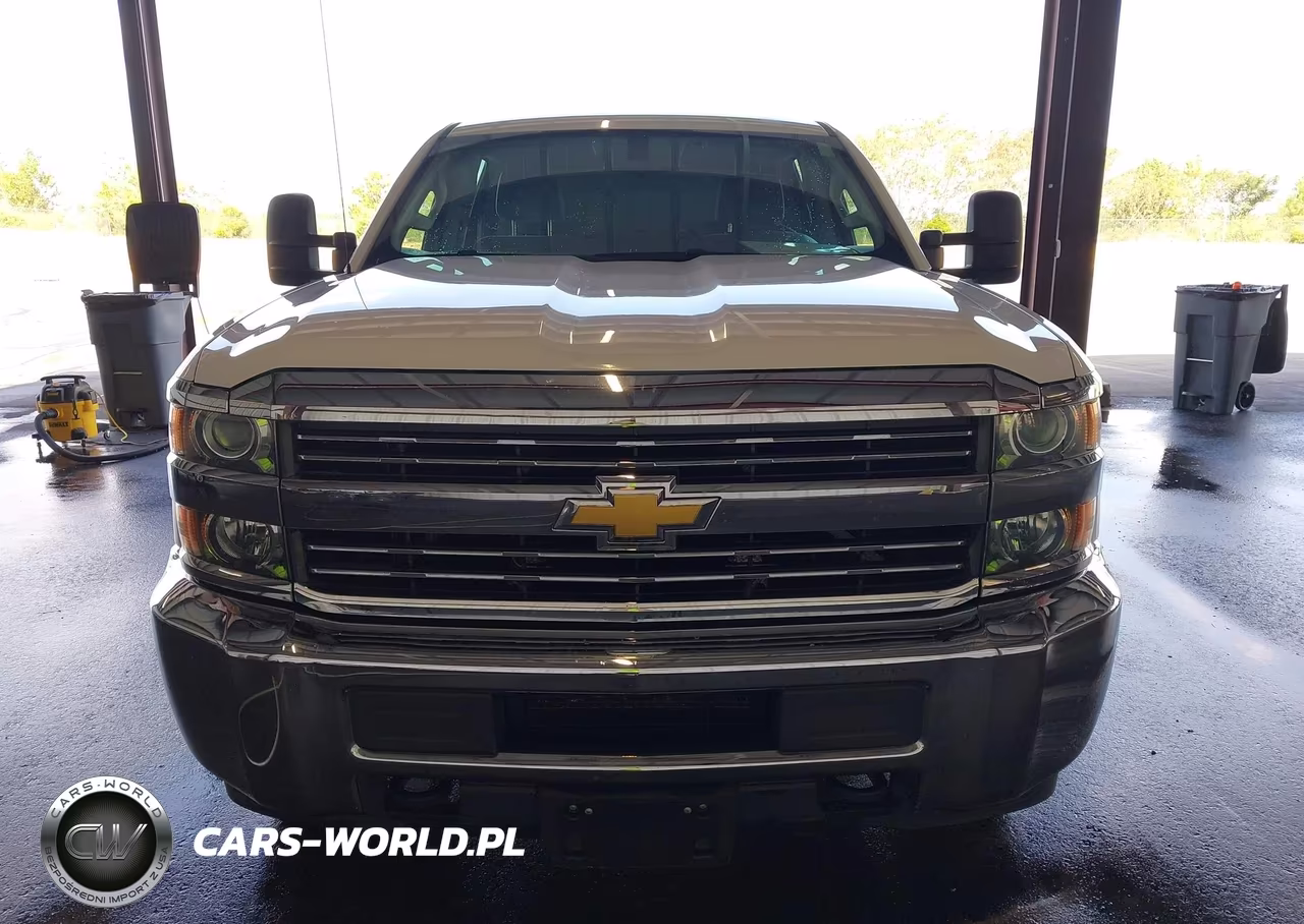 2017 Chevrolet Silverado 3500Hd Wt VIN:1GC4KYCG0HF191494 - 17