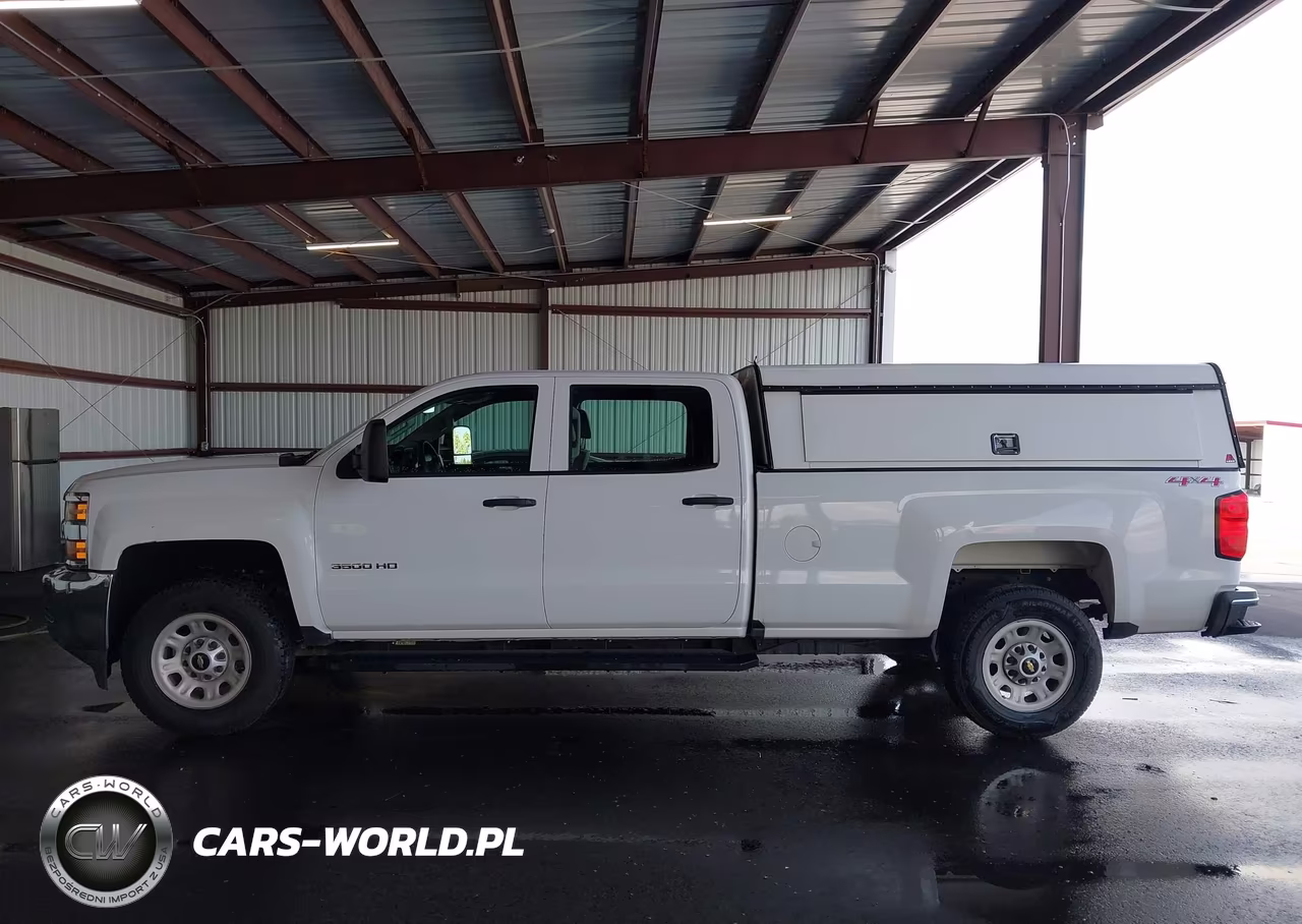 2017 Chevrolet Silverado 3500Hd Wt VIN:1GC4KYCG0HF191494 - 19