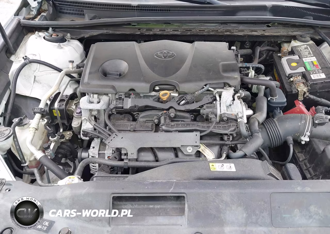 2019 Toyota Camry Se VIN:4T1B11HK8KU804216 - 10
