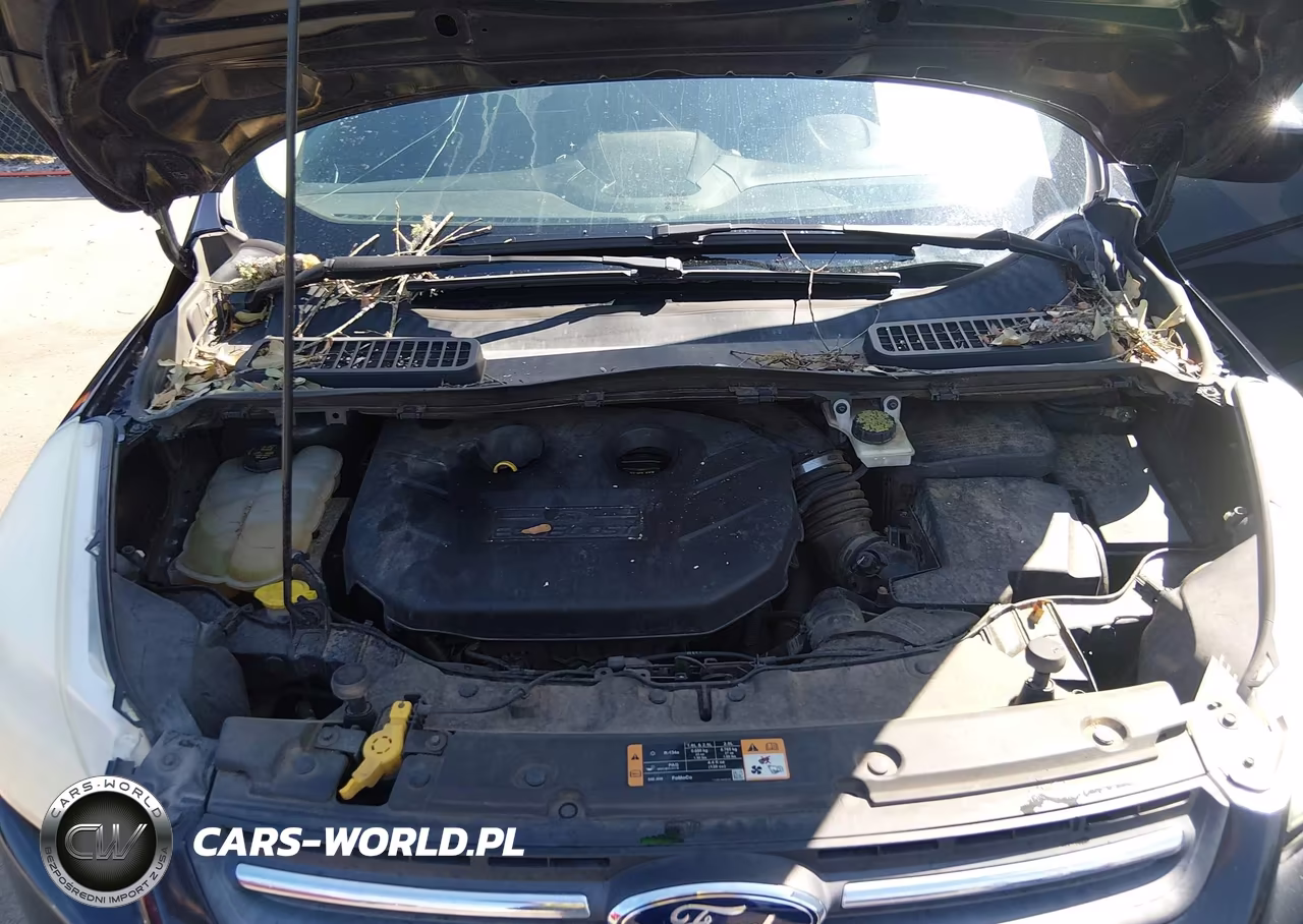 2014 Ford Escape Se VIN:1FMCU0G92EUA73954 - 10