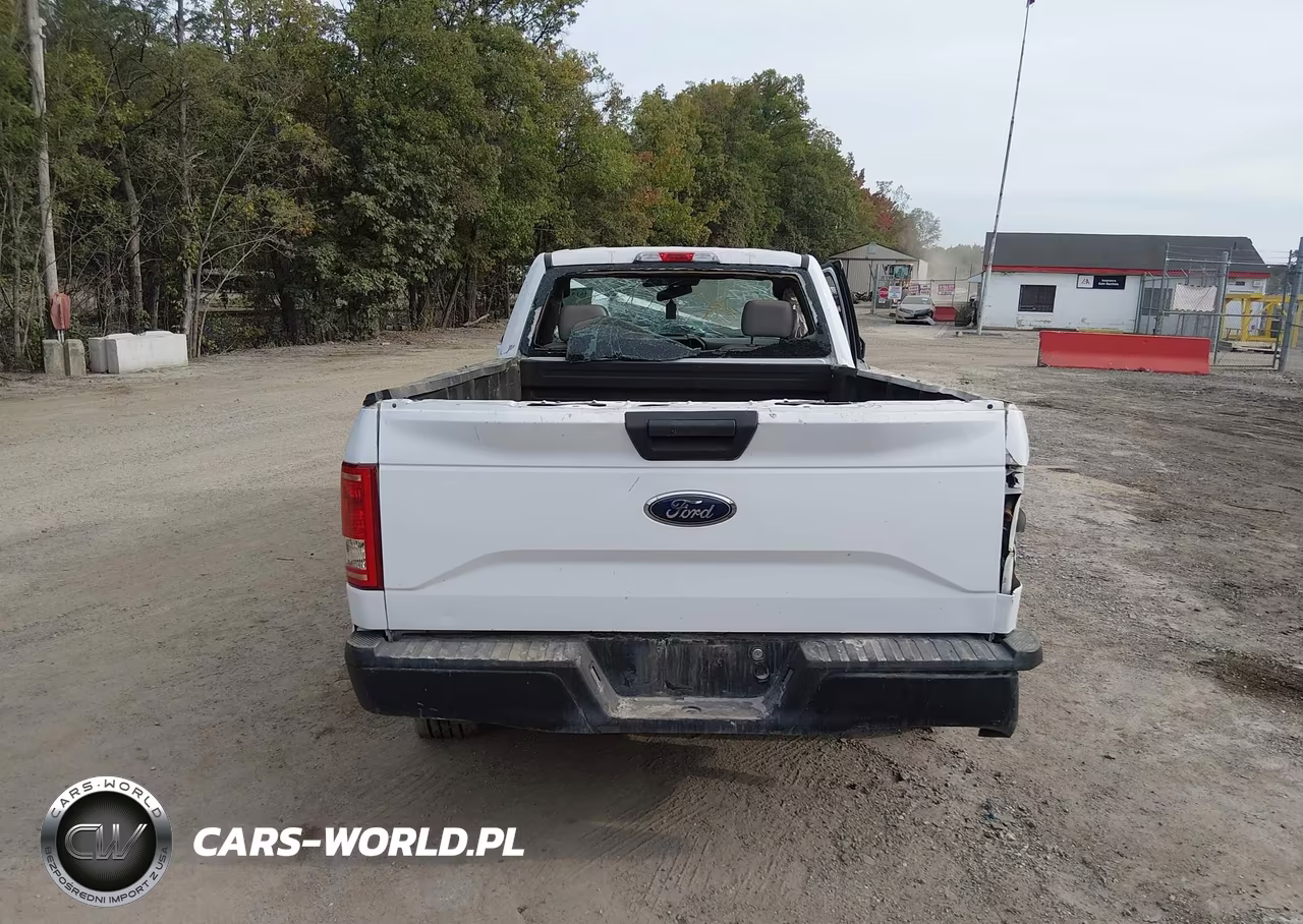 2015 Ford F-150 Xl VIN:1FTMF1C83FKD62361 - 16