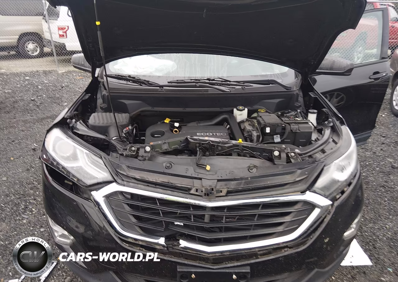 2019 Chevrolet Equinox Ls VIN:2GNAXHEV0K6230982 - 10