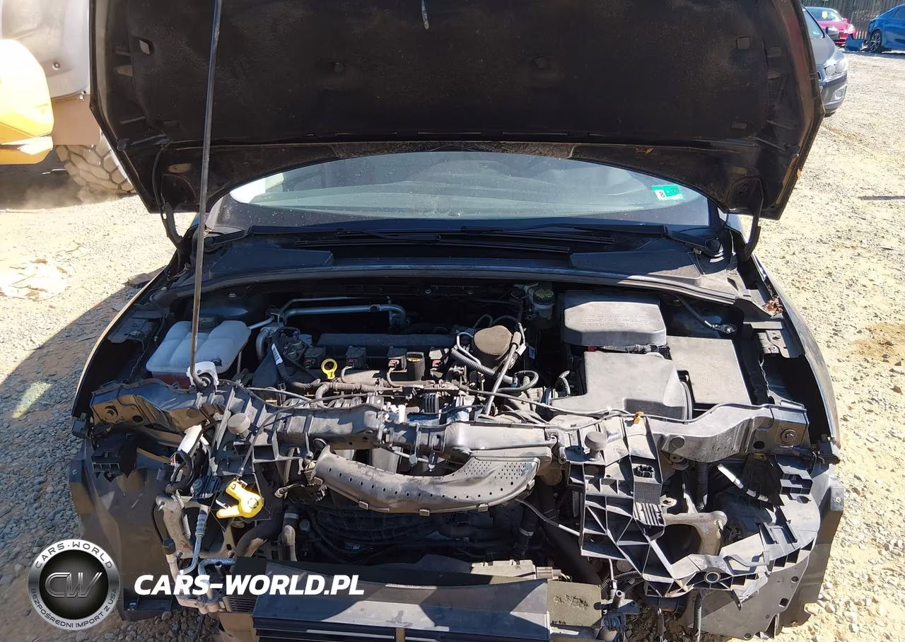2014 Ford Focus Se VIN:1FADP3F27EL387794 - 10