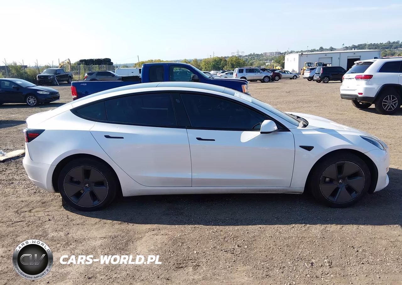 2023 Tesla Model 3 Rear-Wheel Drive VIN:5YJ3E1EAXPF573456 - 13