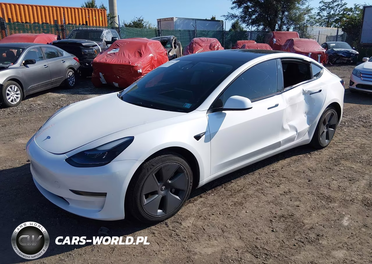 2023 Tesla Model 3 Rear-Wheel Drive VIN:5YJ3E1EAXPF573456 - 2