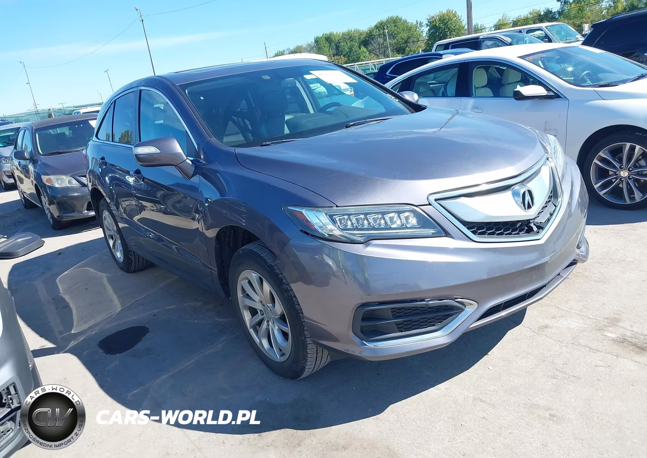 2017 Acura Rdx Technology Acurawatch Plus Packages-W-Technology Package VIN:5J8TB4H53HL036873 - 1