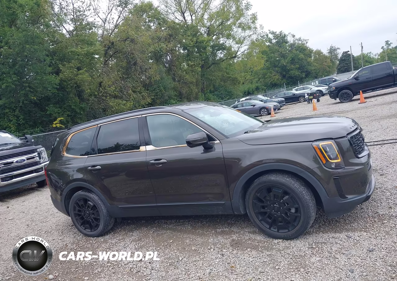2021 Kia Telluride Sx VIN:5XYP5DHC4MG098200 - 14
