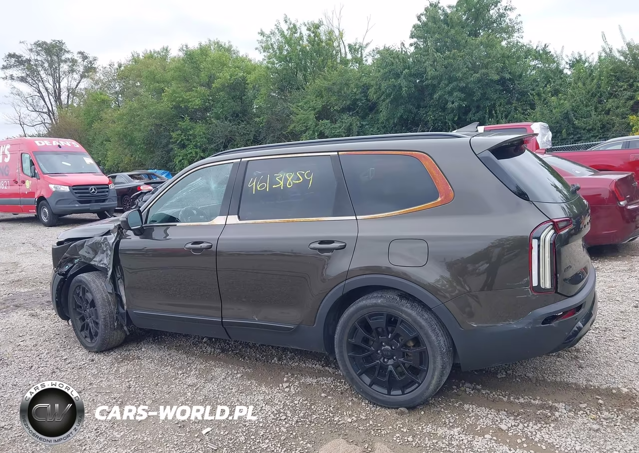 2021 Kia Telluride Sx VIN:5XYP5DHC4MG098200 - 15