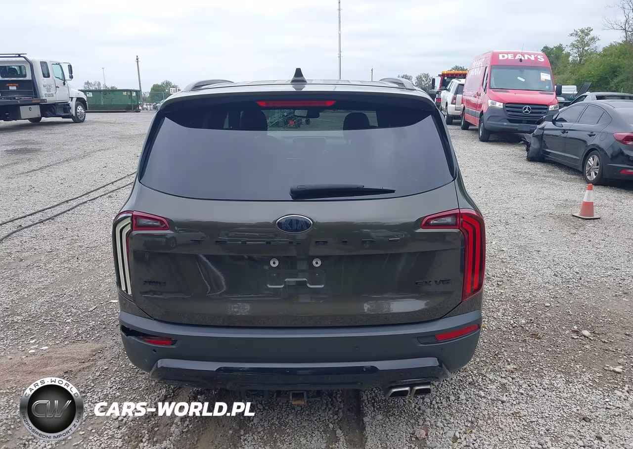 2021 Kia Telluride Sx VIN:5XYP5DHC4MG098200 - 17