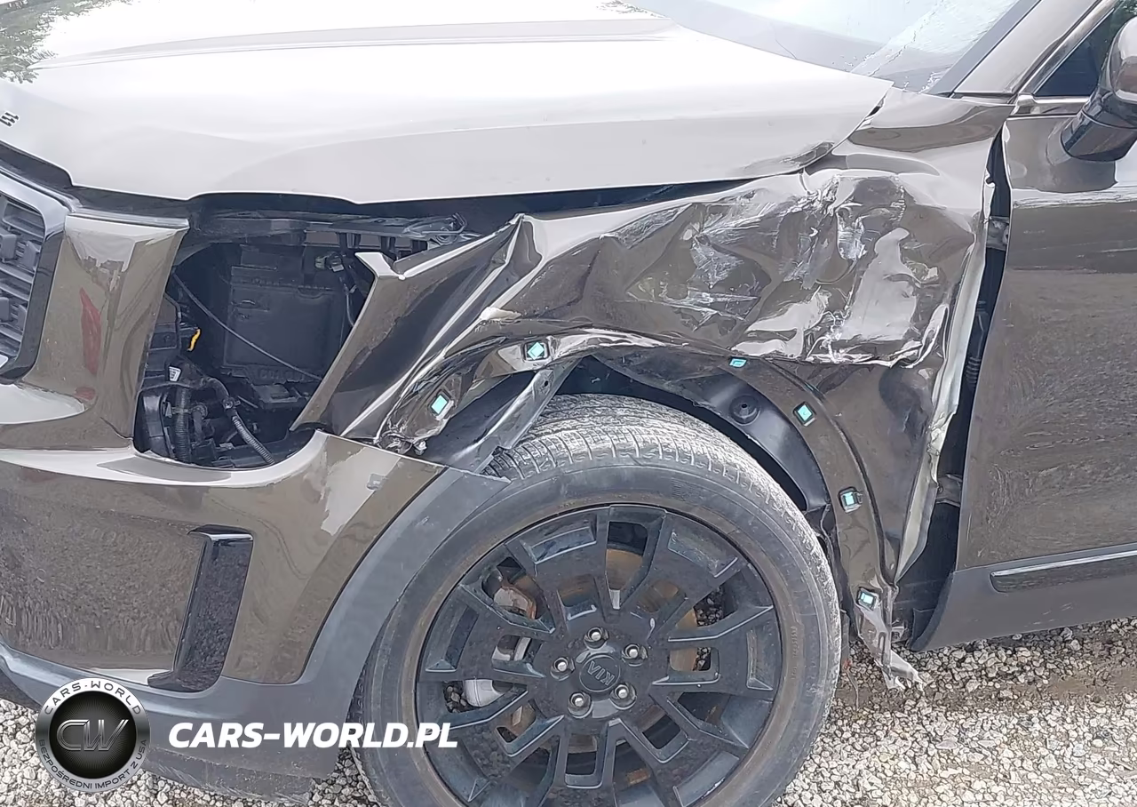 2021 Kia Telluride Sx VIN:5XYP5DHC4MG098200 - 18
