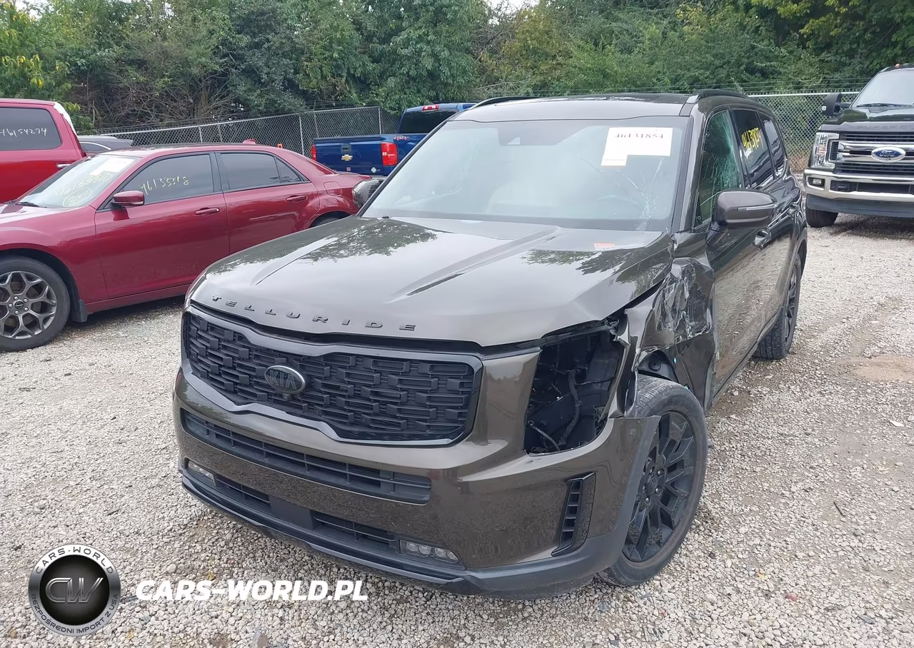 2021 Kia Telluride Sx VIN:5XYP5DHC4MG098200 - 20