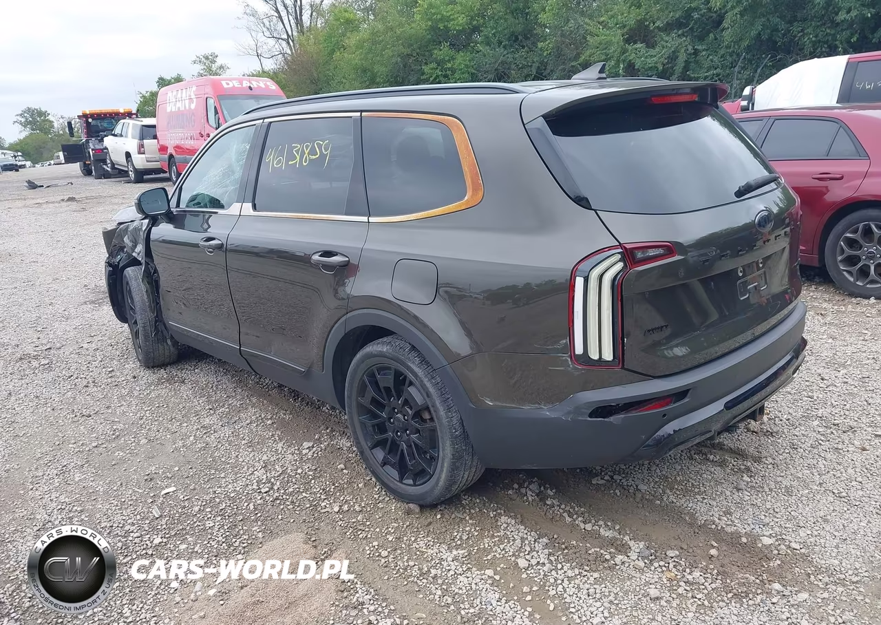 2021 Kia Telluride Sx VIN:5XYP5DHC4MG098200 - 3
