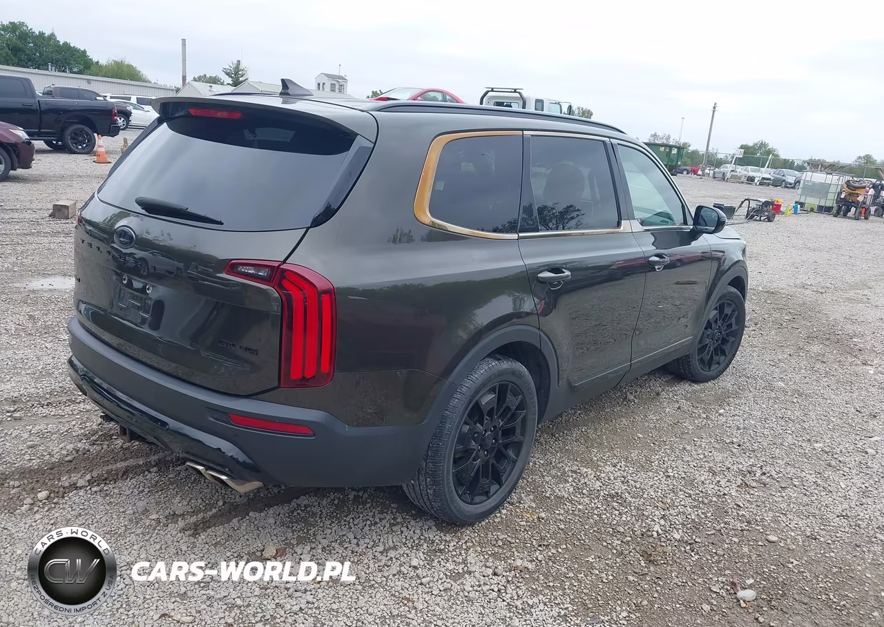 2021 Kia Telluride Sx VIN:5XYP5DHC4MG098200 - 4