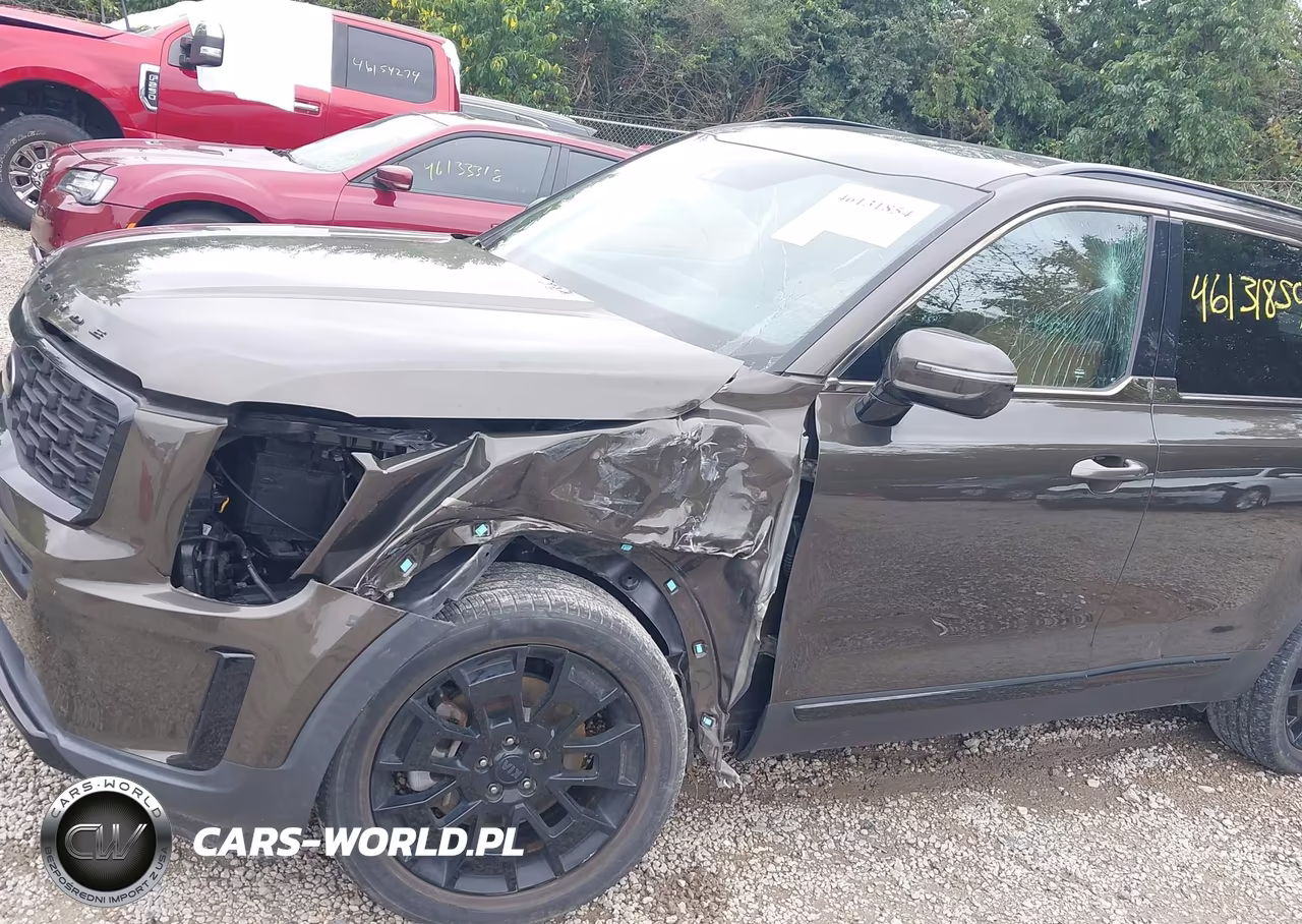2021 Kia Telluride Sx VIN:5XYP5DHC4MG098200 - 6