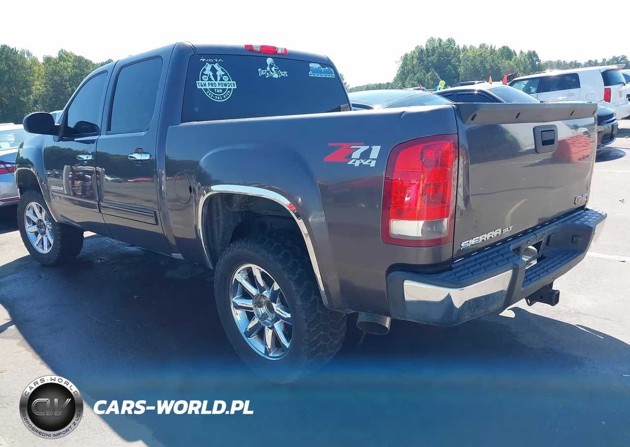 2010 GMC Sierra 1500 Slt VIN:3GTRKWE31AG182473 - 3