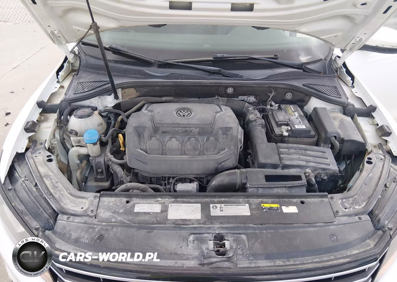 2019 Volkswagen Passat 2.0T Wolfsburg Edition VIN:1VWLA7A3XKC007824 - 10