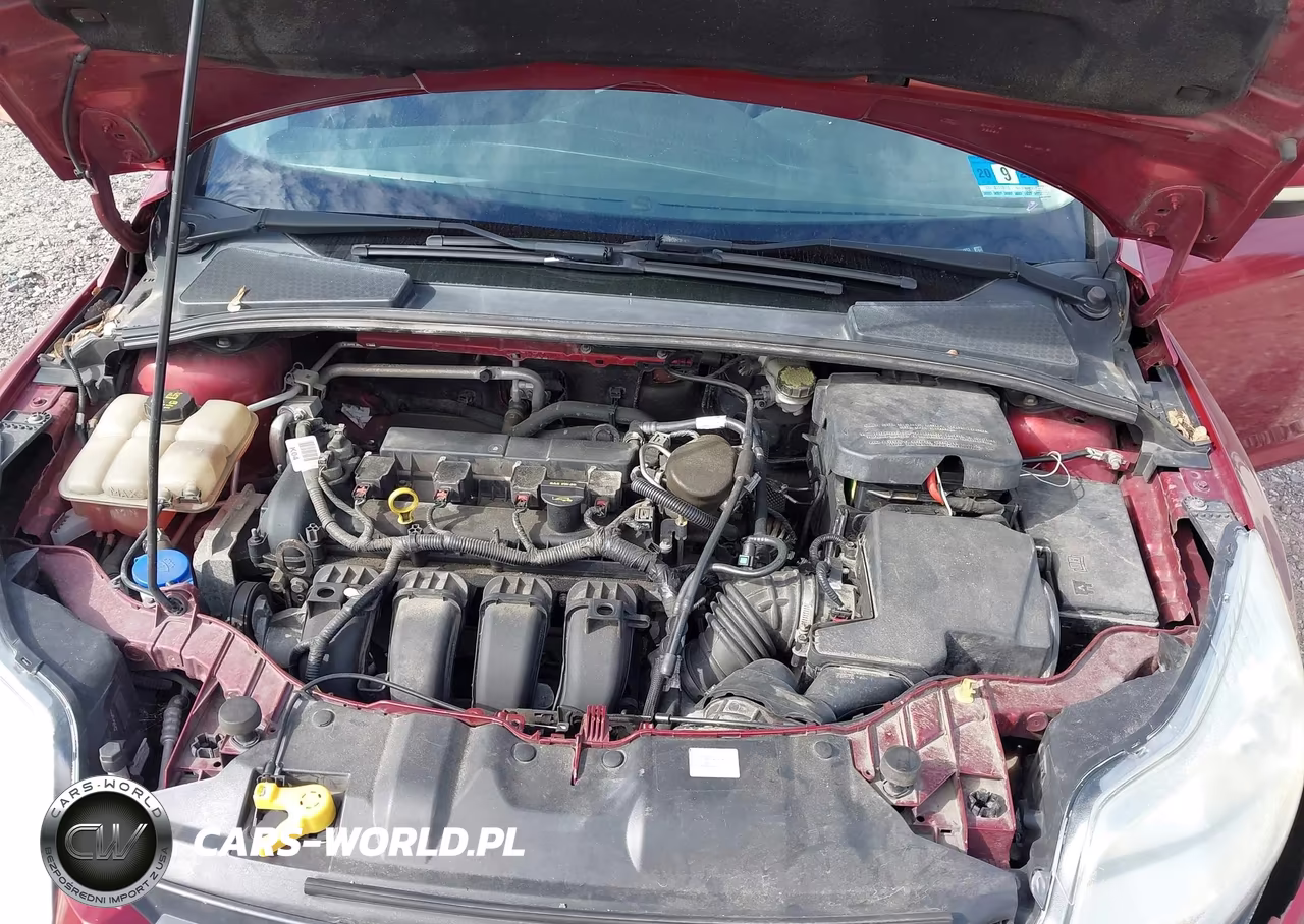 2014 Ford Focus Se VIN:1FADP3K25EL344853 - 10