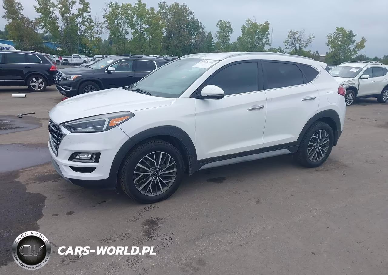 2019 Hyundai Tucson Limited VIN:KM8J3CAL9KU845202 - 2