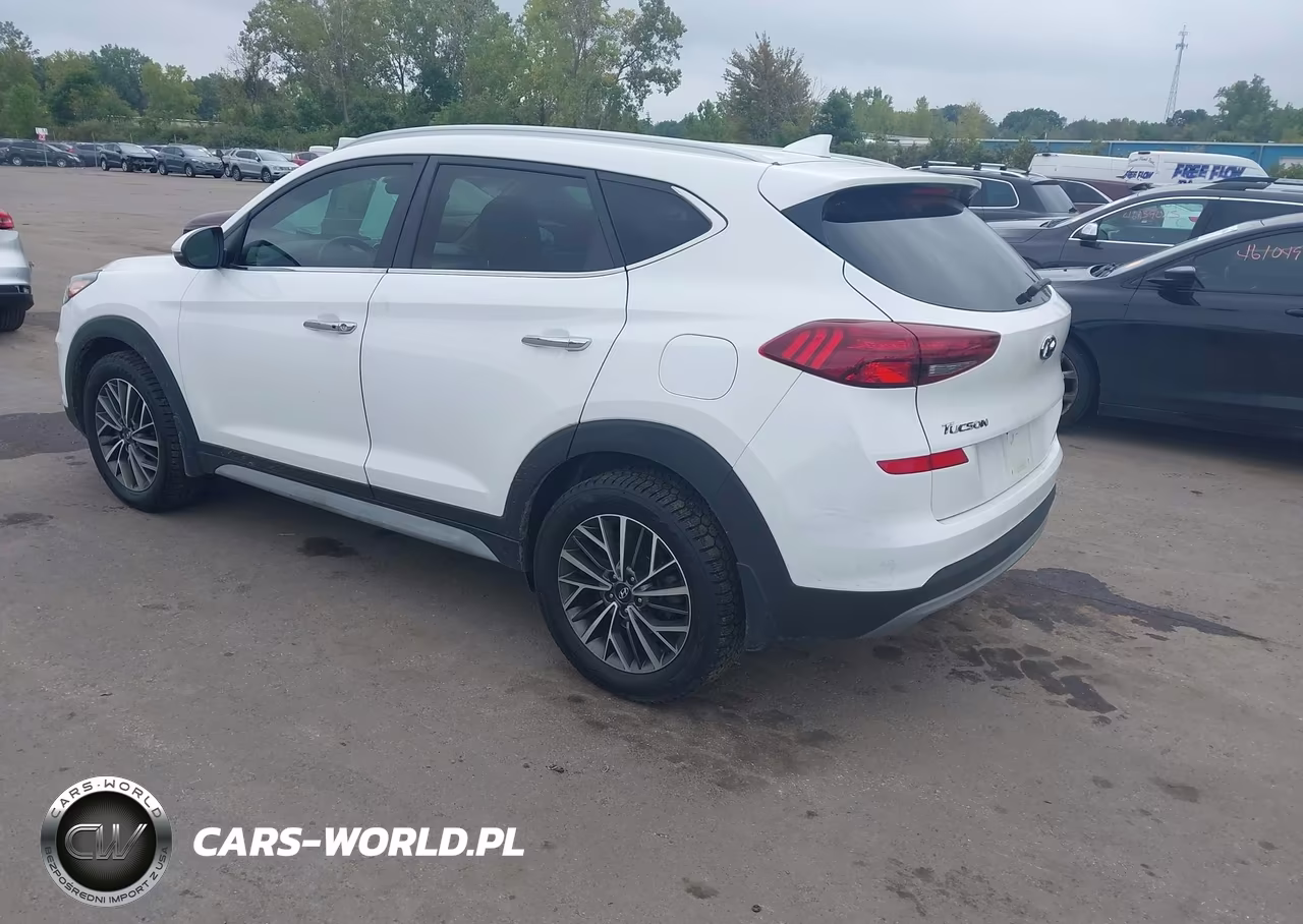 2019 Hyundai Tucson Limited VIN:KM8J3CAL9KU845202 - 3