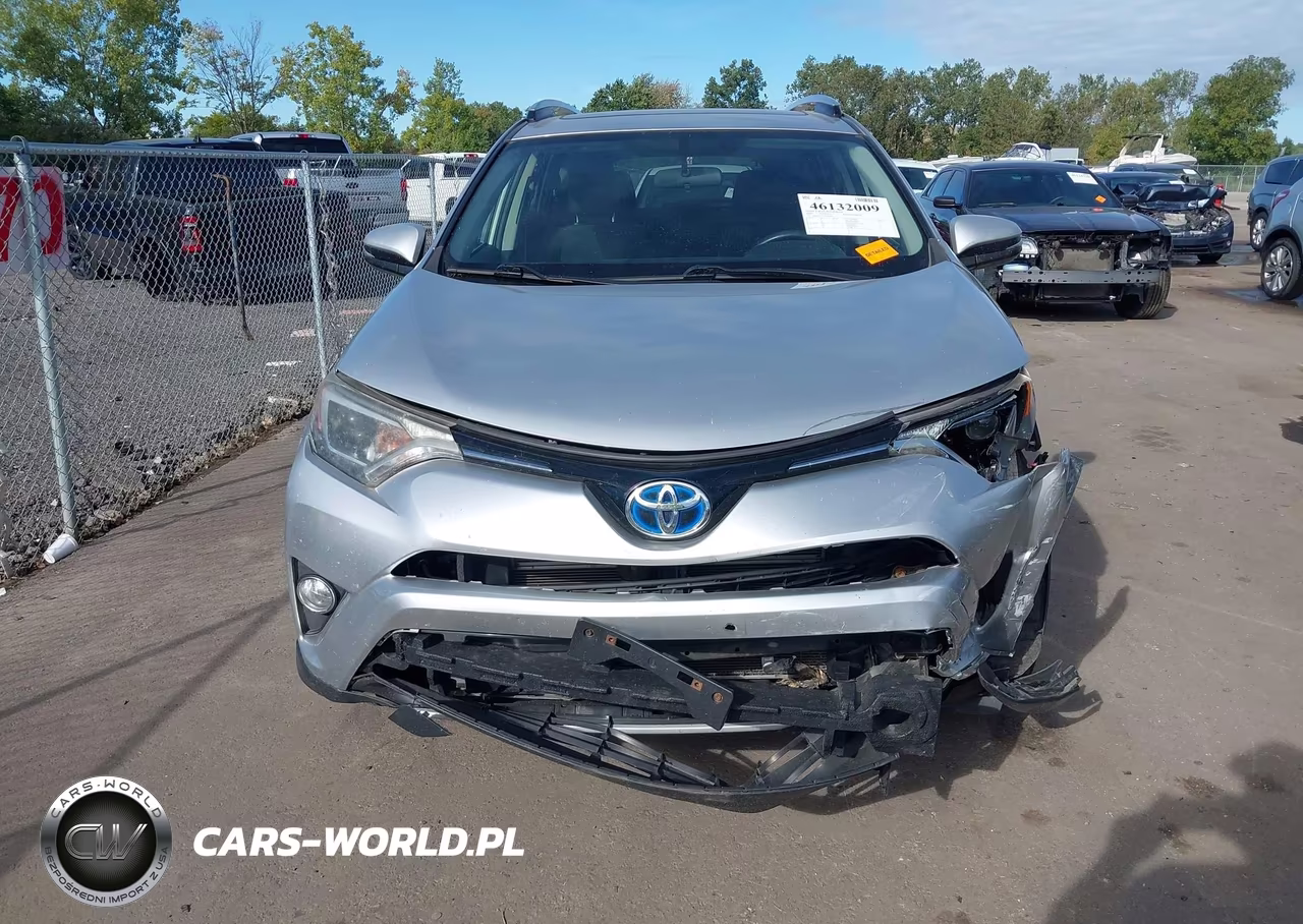 2016 Toyota Rav4 Hybrid Xle VIN:JTMRJREVXGD041090 - 12