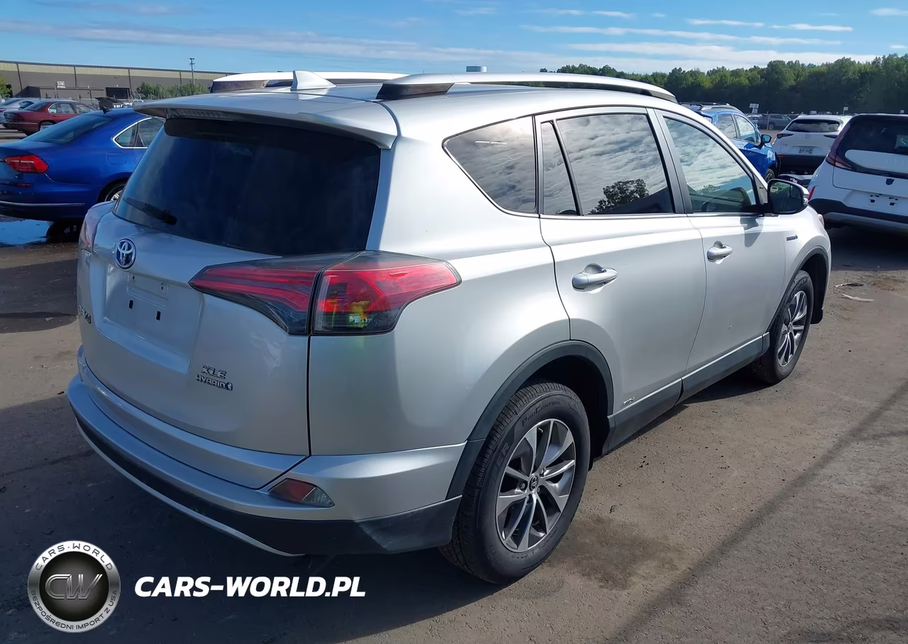 2016 Toyota Rav4 Hybrid Xle VIN:JTMRJREVXGD041090 - 4