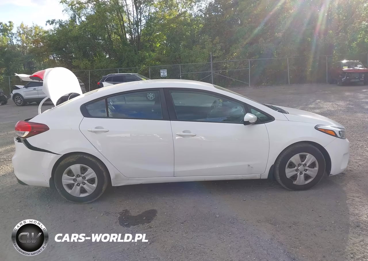 2018 Kia Forte Lx VIN:3KPFK4A77JE242008 - 13