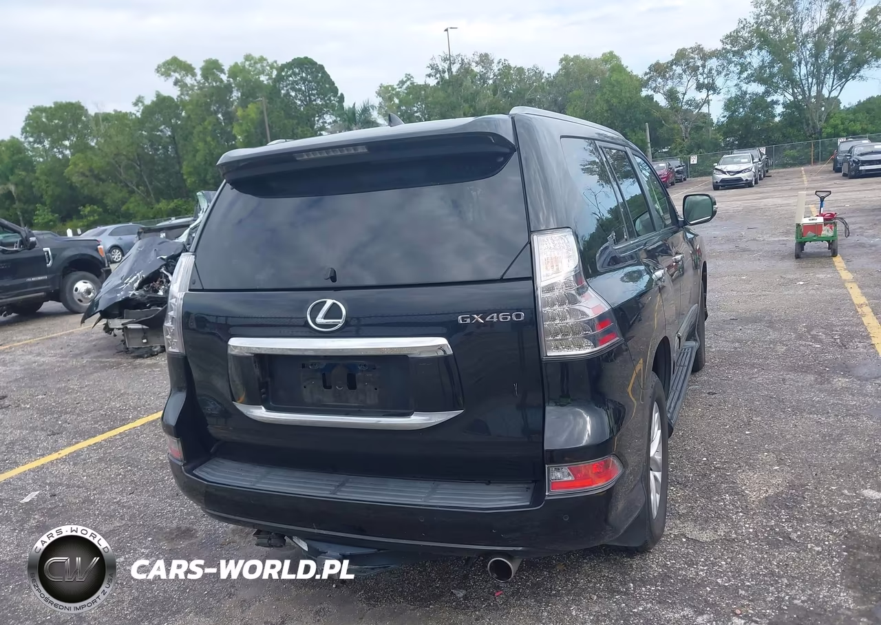 2019 Lexus Gx 460 Premium VIN:JTJBM7FX0K5239125 - 17