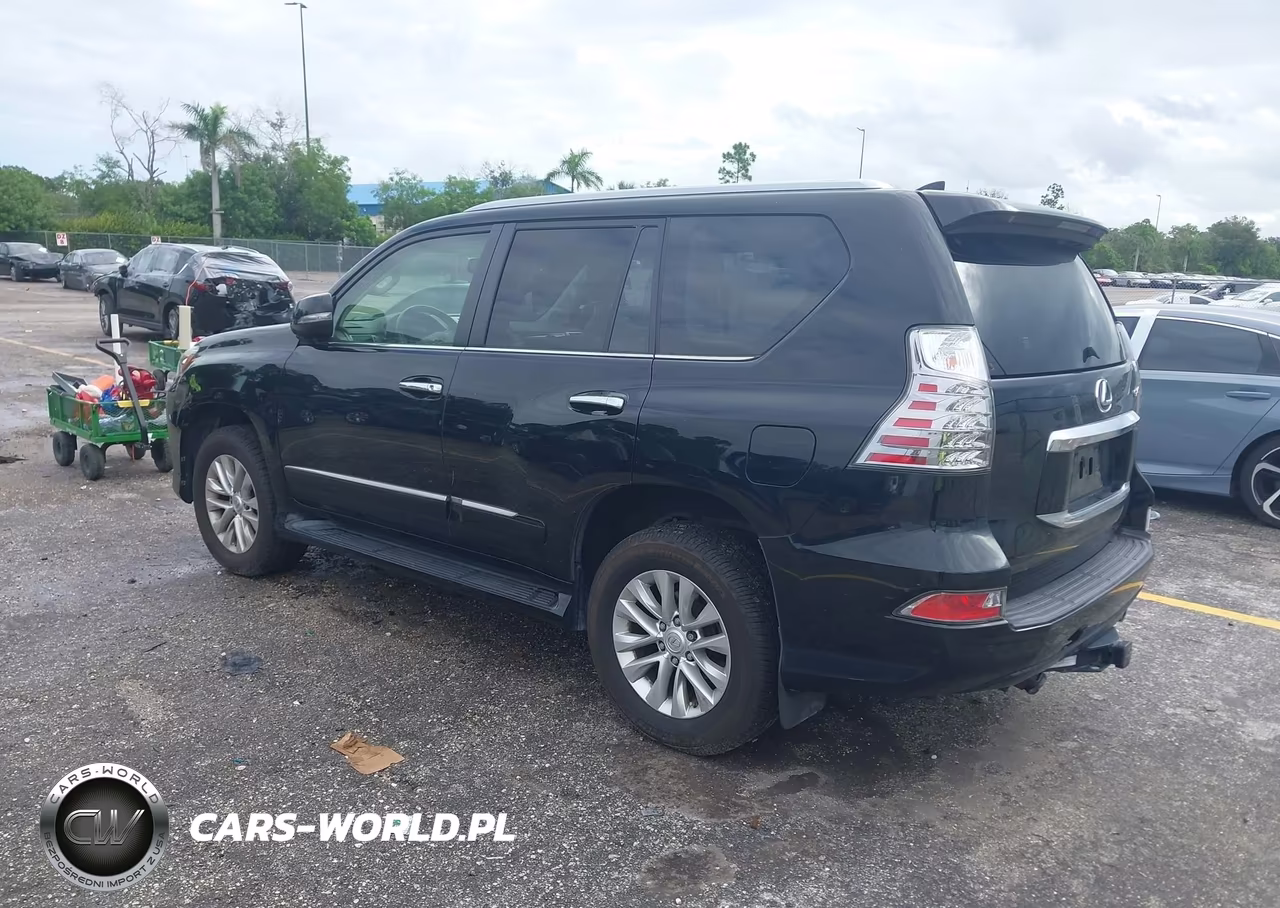 2019 Lexus Gx 460 Premium VIN:JTJBM7FX0K5239125 - 3