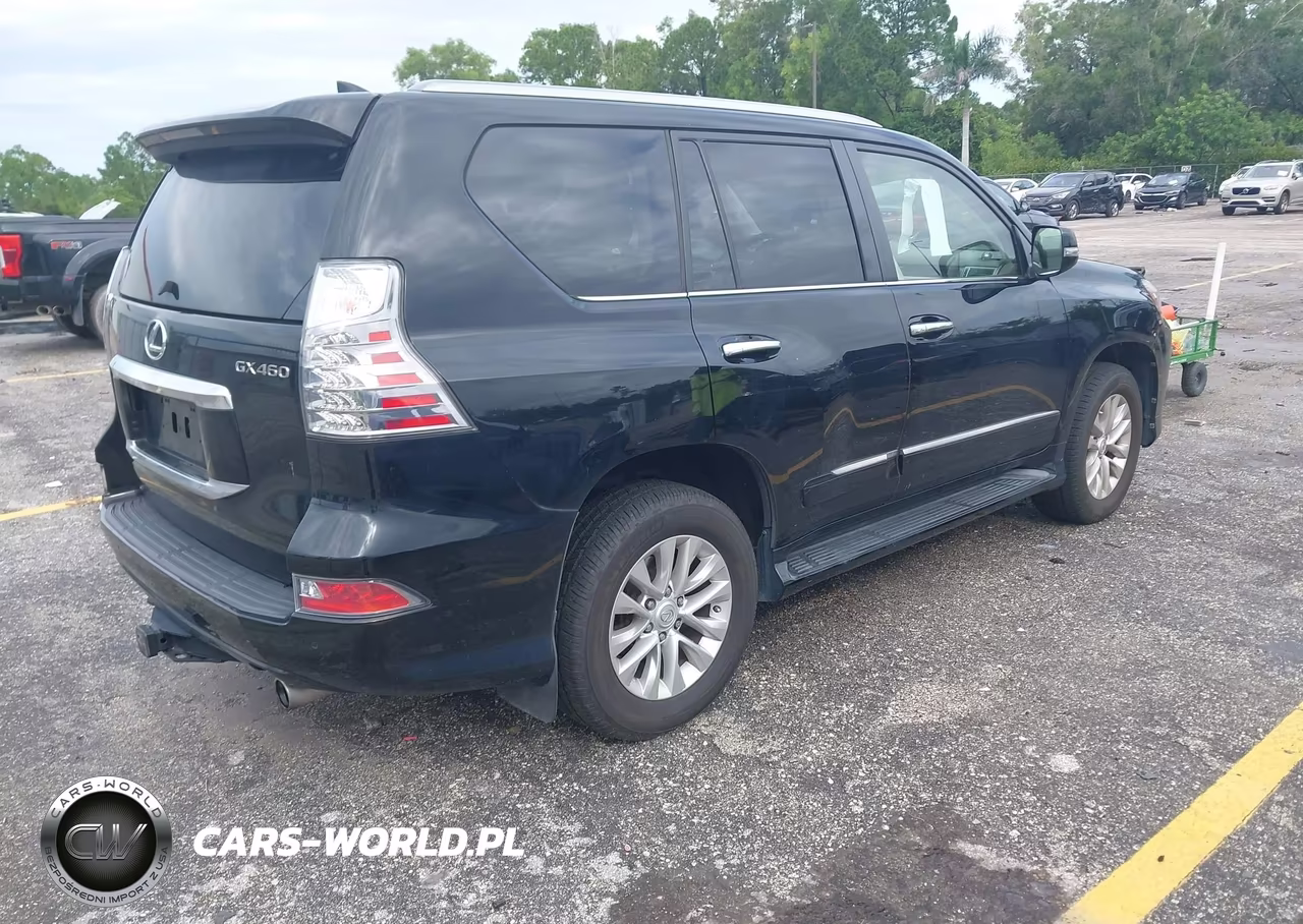 2019 Lexus Gx 460 Premium VIN:JTJBM7FX0K5239125 - 4
